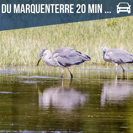 Au P'tit Somme-equipement Bebe-famille-15min Holiday home Nouvion-en-Ponthieu